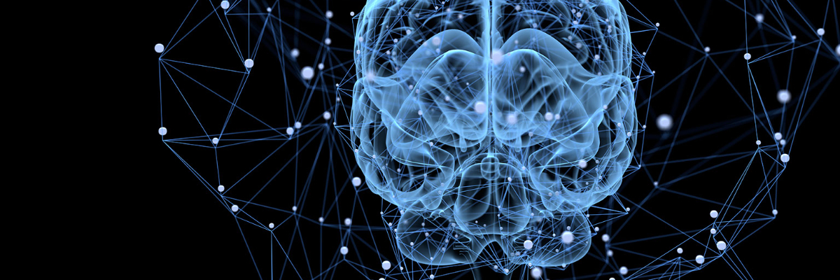 How Volt Active Data Complements Vertica for Network Intelligence and Automation Applications